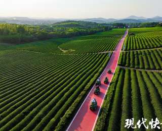 2025全国地方媒体总编辑看无锡｜绿道串景，龙池山交出“低碳文旅”新答卷