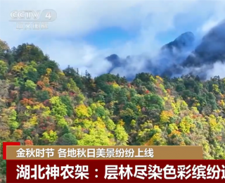 金秋时节各地美景纷纷“上线” 多元业态拓展“秋日经济”新空间