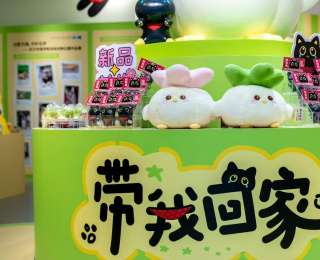 蒜鳥+動物保護(hù)，“帶我回家”快閃店亮相江城