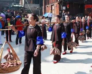 广西三江：侗寨薯香风情浓