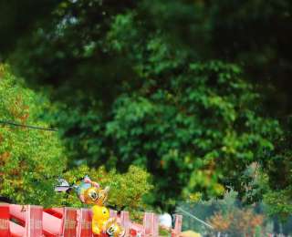 武汉金秋菊展开幕，“巴公房子”“黄鹤楼”“知音号”穿上了绿毛衣