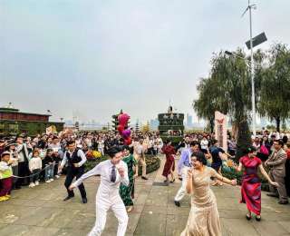 金秋菊海惊现“时空旅人”，《知音号》复古舞影邂逅金色花海