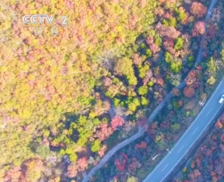 “楓葉+”燃動秋日文旅消費“熱引擎” 以旅促農增收再添“金鑰匙”