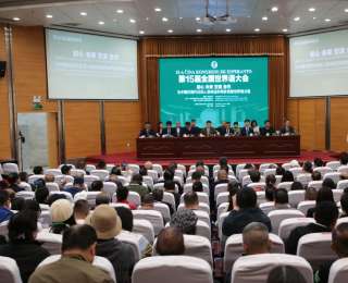 第15届全国世界语大会举办 以“语”为桥促文化交流