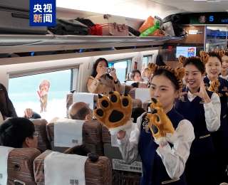 黑龍江首趟“萌虎”主題列車啟程！預熱最美冰雪季