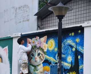 綿陽貓咪墻繪爆紅 有人騎行50公里打卡 畫師阿偉：夢想是巡游全國繪畫