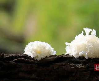 11月8日“川超”成都VS巴中，全民派對精彩升級！