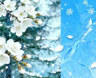 南北碰撞，創意交融！《北國春城·江城綻放》武漢展本周六邀您邂逅長春