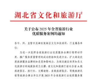 “文明游武漢 品質伴您行”入選省級十佳案例，繪就武漢志愿服務新圖景