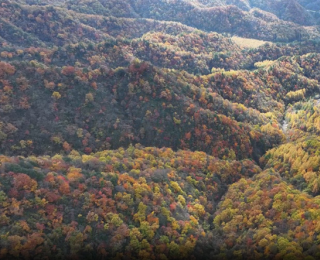 航拍下的神農架：秋韻未歇，美若油畫鋪展天地間
