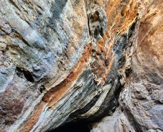 攀枝花“年齡”多大？骨針實證花城是1.5萬歲的“老輩子”