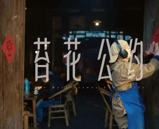 易烊千璽摘得金雞獎背后：一朵朵苔花已從成都開向全國