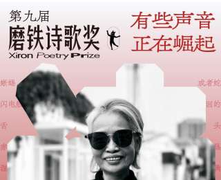 小說家寫詩也出彩，林白獲“漢語十佳詩人”