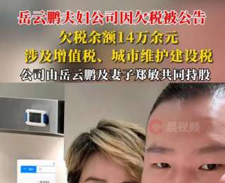 岳云鹏夫妇公司因欠税14万被公告