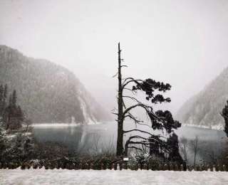 禁止穿越九寨溝國家級自然保護區核心區告知書