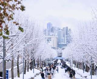 趨勢持續 韓國學子青睞首都圈高校