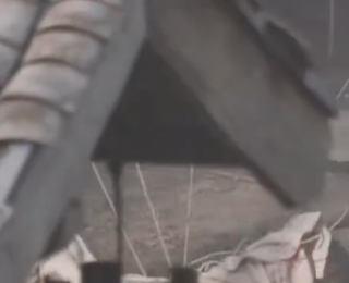 演员成毅拍戏现场威亚失控，后脑触地无法起身