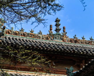 住在古建顶上的“精灵”