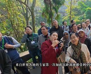 大足石刻：文明交汇处的中国答案