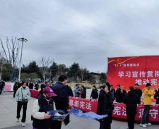 大悟县开展“12·4”国家宪法日集中宣传活动