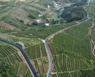 我省认证最大富硒地块诞生 竹山三镇7.8万亩土地硒含量超认定标准近三倍