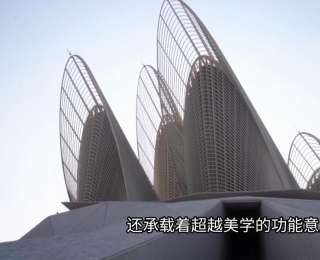 阿聯(lián)酋扎耶德國家博物館見證30萬年文明脈搏