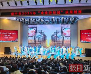咸宁市2025年“戏曲进校园”成果展演圆满收官