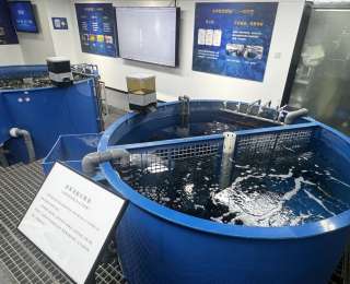 武汉智慧农业激发“绿色动能”