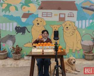 秭归萌犬IP“二次成长”激活山货销路助农增收