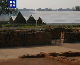 大河村国家考古遗址公园焕新开园 打造黄河岸边的文明地标