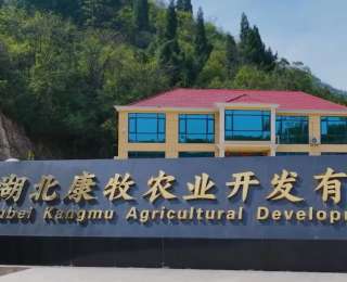 全国最贵猪精70元1份，凭啥让养殖巨头疯抢？