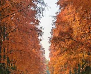 乘船追鸥、林间烧烤、骑行绿道，冬日东湖漫游指南请查收