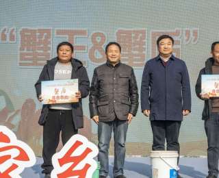 湖北洪湖清水大闸蟹开捕，“蟹王”“蟹后”分别赢得888元奖金