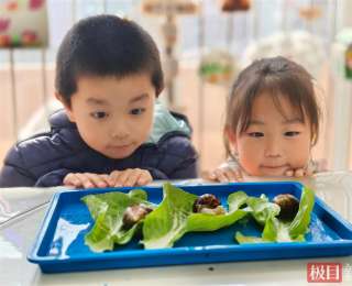 小蝸牛成“自然導師”，萌娃在照料中收獲成長