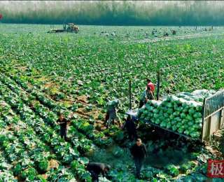 交通安全进乡野，嘉鱼交警为四邑村筑牢乡村交通平安防线