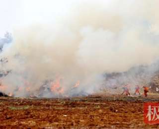 实战救援！2025年湖北省森林火灾应急预案演练举行