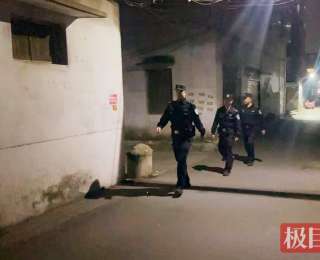警灯亮在夜色里！枣阳民警夜间“车巡 + 步巡”让群众出门更踏实