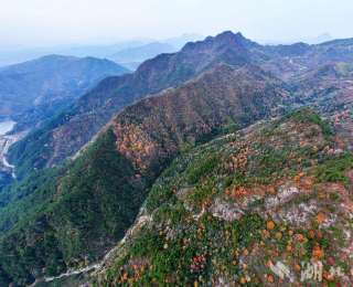 蕲春：枫染峡谷 秋色醉人