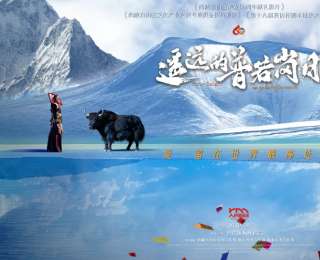 电影《遥远的普若岗日》上映 呈现西藏双湖发展历程