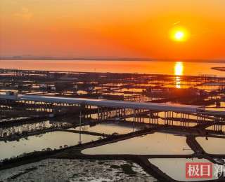 为鸟儿戴上“静音耳机”，武汉双柳长江大桥400米全封闭声屏障建成