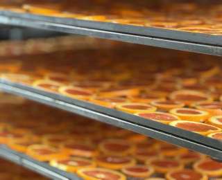 兴山：半高山村“烤”出致富新“橙”绩