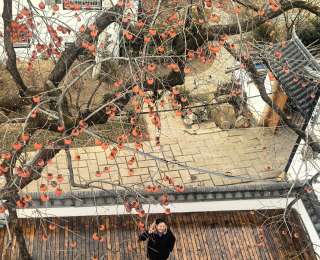 桂雁鸿｜深情常留此青山