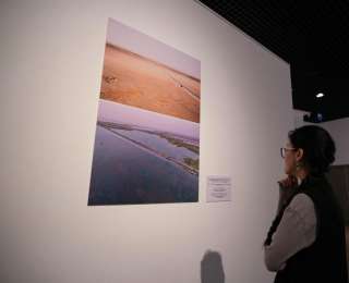 镜头下的沙海新绿——从图片展上的照片看新疆带给世界的治沙灵感