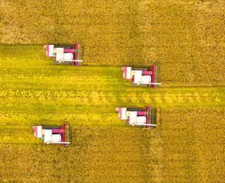 “院士天团” 扎根鱼米之乡 硬核实力打造农业强省