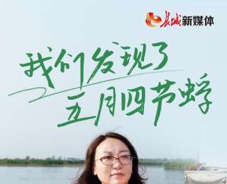 我的雄安 | 我們發(fā)現(xiàn)了“五月四節(jié)蜉”