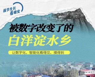 拔節(jié)生長看雄安丨被數(shù)字改變了的白洋淀水鄉(xiāng)