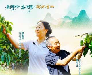 山水有清音丨幸福的回聲