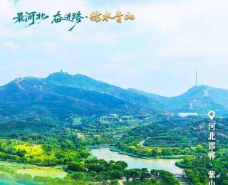 山水有清音丨復蘇的脈搏