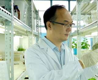 《科学》公布2025年度十大突破，华中农大这一成果入选！