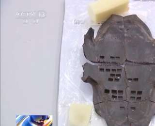 考古新发现！出土实物带你解密这位楚王的日常